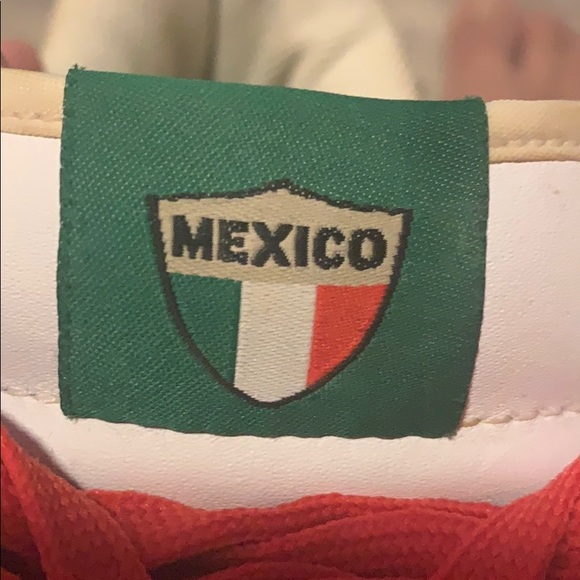 Mexico Air Force one - Picture 6 of 12